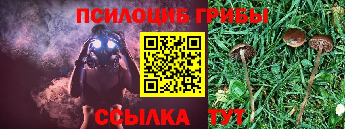 ГАШИШ Архангельск