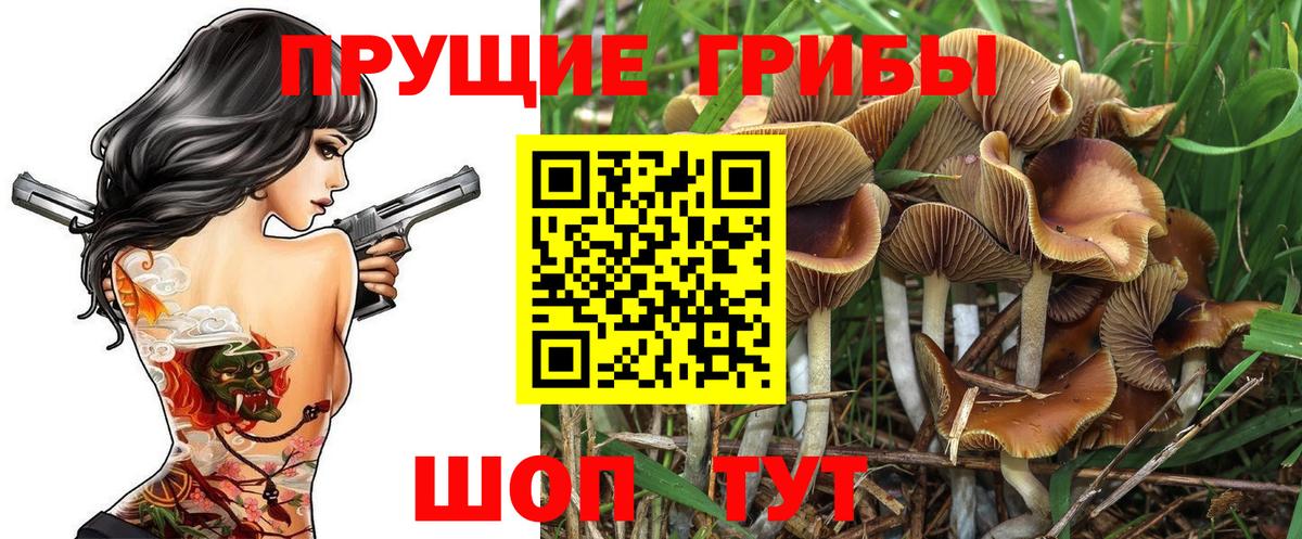 Галлюциногенные грибы GOLDEN TEACHER Архангельск