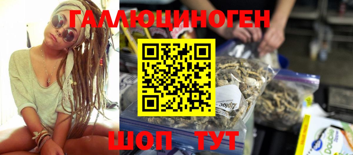 Галлюциногенные грибы GOLDEN TEACHER  Вход с VPN  где купить наркотик  Архангельск  Галлюциногенные грибы Psilocybe 